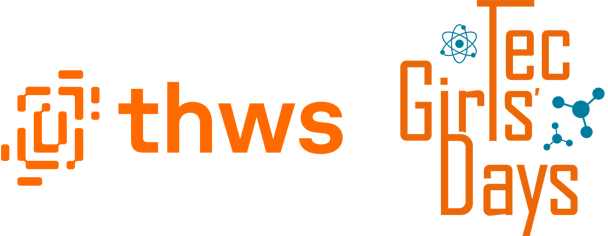 Logo THWS / Schaeffler / MINT