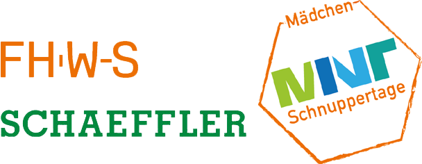 Logo FHWS / Schaeffler / MINT